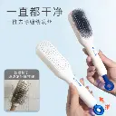 Luxury Retractable Magic Comb (2).webp